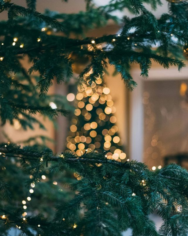 Christmas is coming to The Chestnut Horse... ✨

Get ready to eat, drink and be merry with pre-festive feasts, wholesome workshops, a lavish Christmas lunch and New Year's Eve celebrations. 

Discover all the festivities on our website.

#FestiveFeasts #ChristmasCelebrations #VisitHampshire