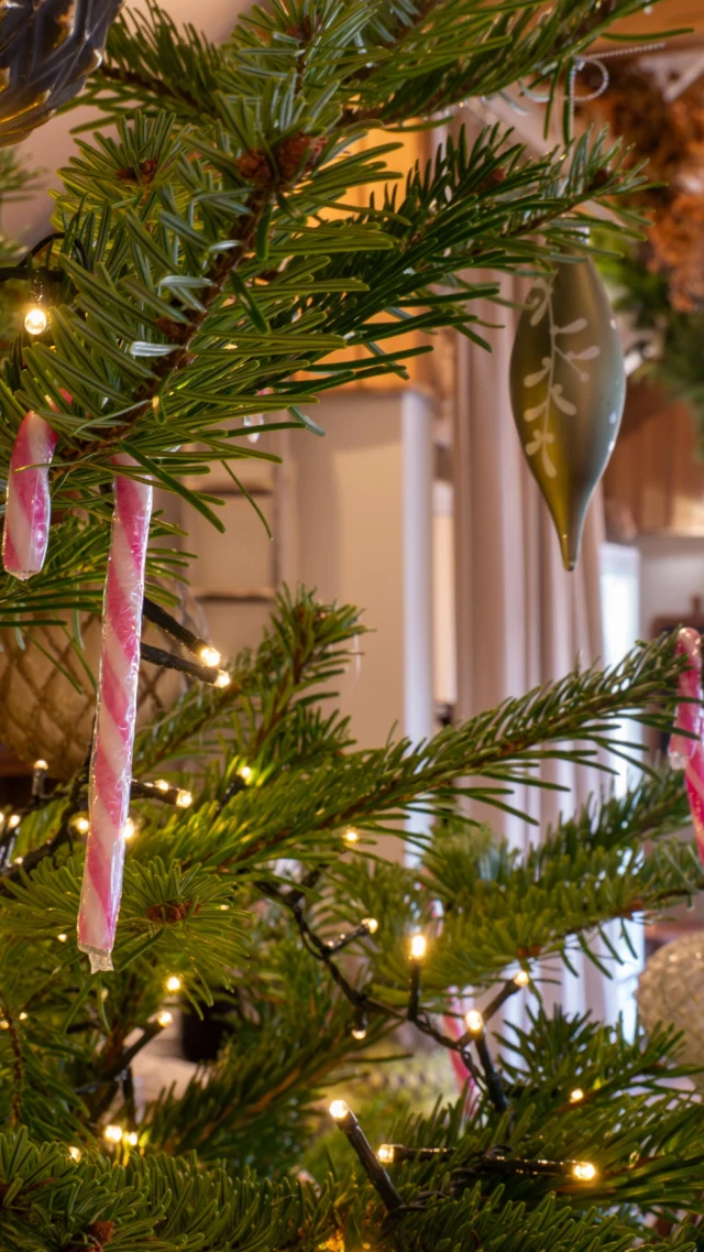 ’Tis the season to dine at The Chestnut Horse. The decorations are up, the festive dishes are waiting, and dinner this season just hits differently by the fire.🍴

Book your table for dinner now, before it’s too late.
⁣#TheChestnutHorse #VisitHampshire #Winchester #CountryPub