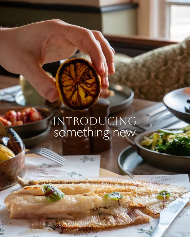 We’re introducing bold new flavours and refined pub classics, thoughtfully crafted and made to be savoured. 🍴

Think beef brisket scotch egg with sharp gherkin ketchup, mussels bathed in white wine cream with warm bread ready for dipping, breast of guinea fowl served with a rich leg pie and crispy wing, and honey sponge finished with Chantilly and golden honeycomb.

Taste the new menu at The Chestnut Horse, and book your table via the link in bio! 🌿
#TheChestnutHorse #VisitHampshire #Winchester
